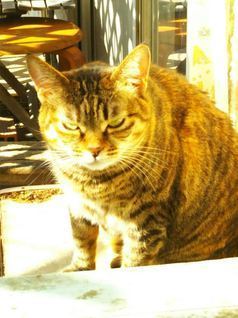 image1543038634.jpg