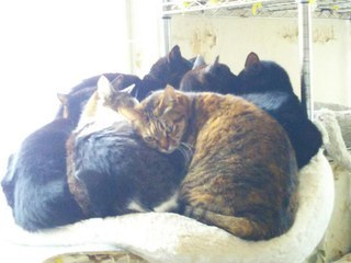 image1547081709.jpg
