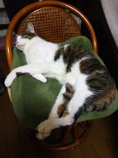 image1555125484.jpg