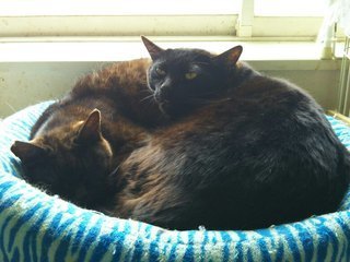 image1555819681.jpg