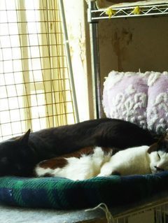 image1556161712.jpg