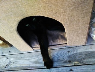 image1556423956.jpg