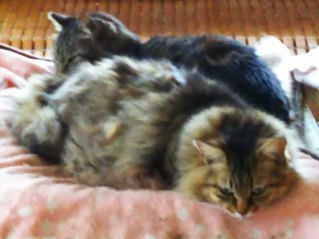 image1556684566.jpg