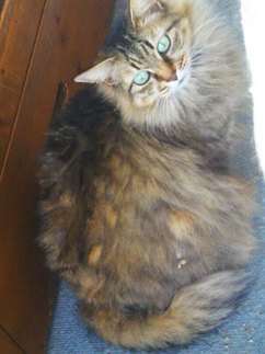 image1557123627.jpg