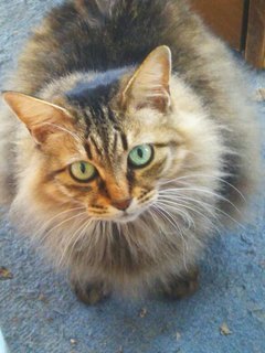 image1557123795.jpg