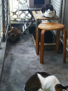 image1557378496.jpg