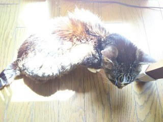 image1557464394.jpg