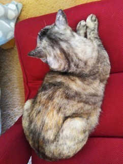 image1557990464.jpg