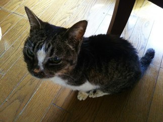 image1557990801.jpg