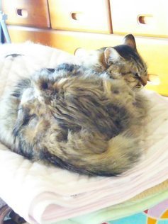 image1558584488.jpg