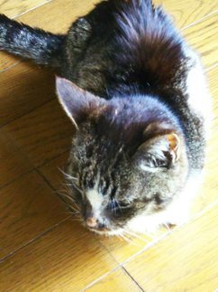 image1560144180.jpg