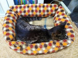 image1560491847.jpg