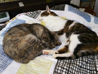 image1561002066.jpg
