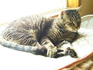 image1561272986.jpg