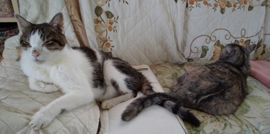 image1569989968.jpg