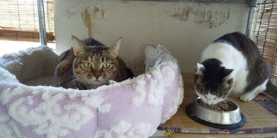 image1570770660.jpg