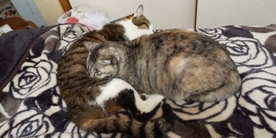 image1572496190.jpg