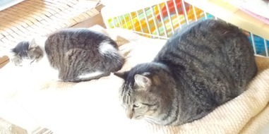 image1572838571.jpg