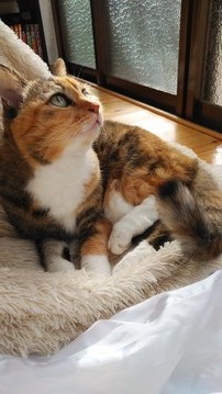 image1573876376.jpg