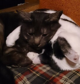 image1574314616.jpg