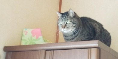 image1574396700.jpg