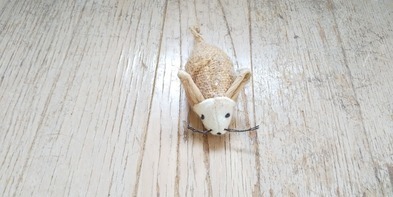 image1574572390.jpg