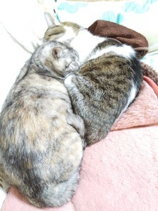 image1575086332.jpg