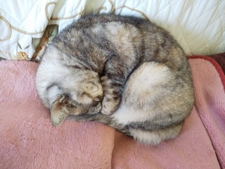 image1577941515.jpg