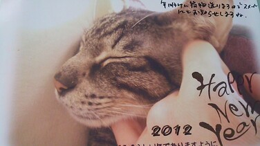 image1578027788.jpg