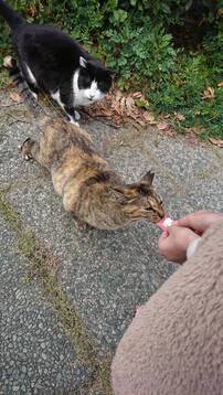 image1586574999.jpg