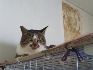 image1593832678.jpg