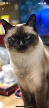 image1595218386.png