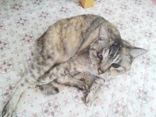 image1596600568.jpg
