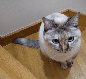 image1597720178.jpg