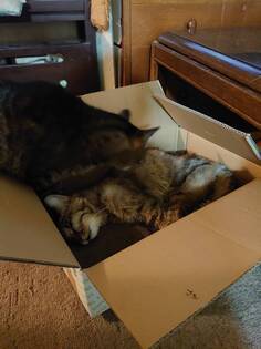 image1601612157.jpg