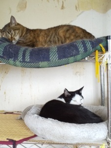 image1601868949.jpg