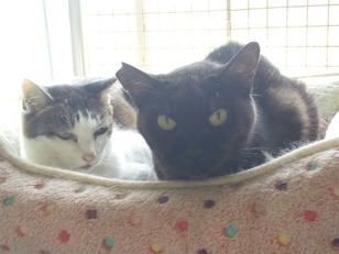 image1601869127.jpg