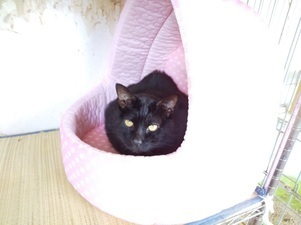 image1602394249.jpg