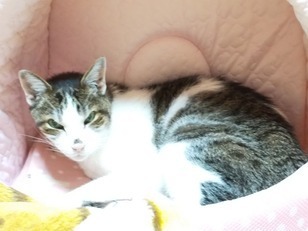 image1604369166.jpg