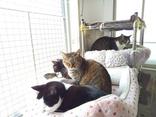 image1608341599.jpg