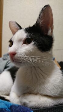 image1608861802.jpg