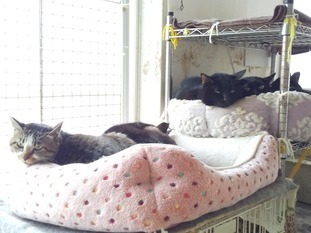 image1611714273.jpg