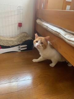 image1633489479.jpg
