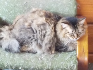image1633662052.jpg