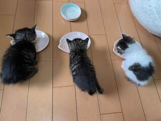 image1635128367.jpg